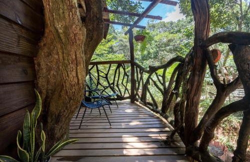 Casa da Árvore - Foto 44