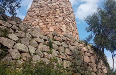 Diongard House - Foto 42