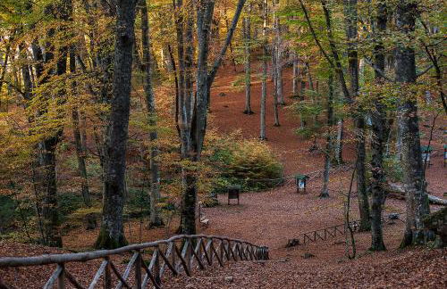 Agriturismo Casale Zuccari - Foto 7