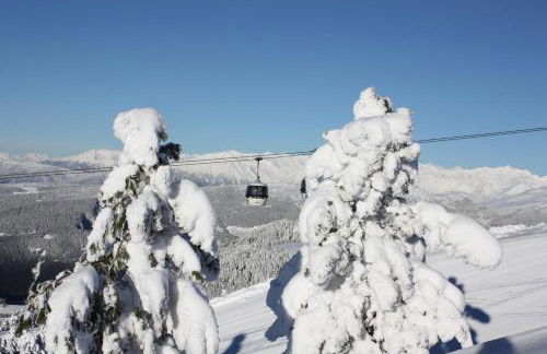 Appartments Neuhof - Photo 50