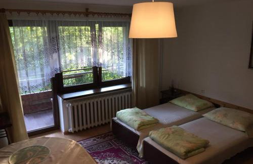 Agropensjonat Tramp z góralskim spa - Foto 3