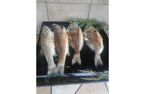 Lovely Marjetka apartment - Foto 33