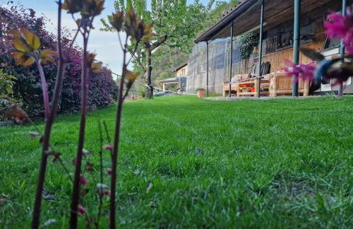 Mella house garden relax - Foto 14