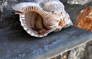 Aithonas Villa - Foto 67