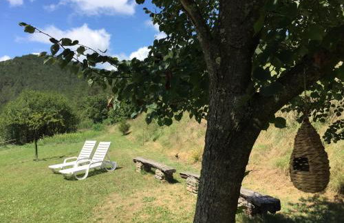 Mas Pinoses - Foto 38