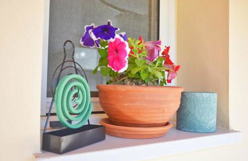 Kosmas Family House Apartment 2 - Foto 30