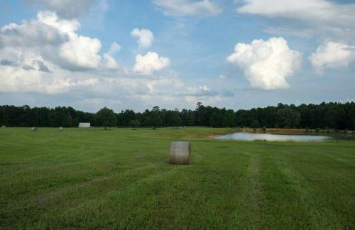 The Clover Club Yellow Rose Canyon - Foto 14