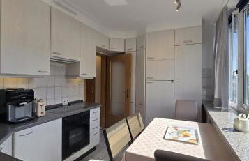 Vacation and business city apartment - Foto 8