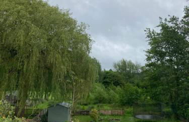 Room with a View - Photo 1