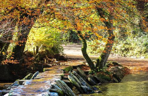 1 Lower Spire - Foto 20