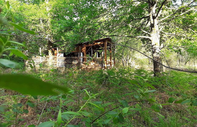 Les Landines - Foto 37