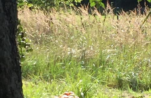 Gemütliche, kleine Ferienwohnung im Küstenland - Foto 14