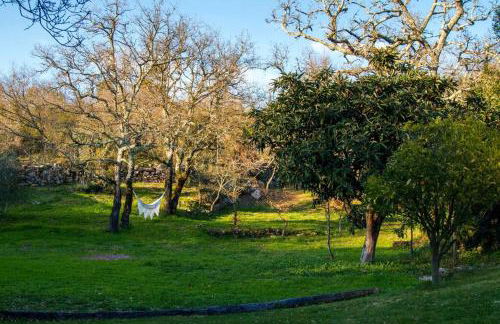 Casa do Vale do Papo - Foto 54