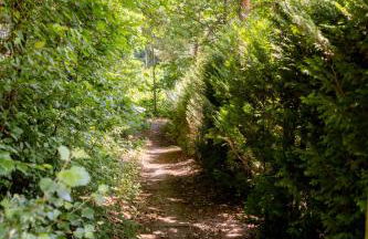 Roter Fuchsbau am Eichwald - Foto 8