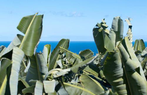 Hacienda Camino de La Cruzada - Foto 28