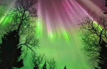 Luxury Lodge on 40 Private Acres • HUMM Sauna • Party Barn • - Foto 47