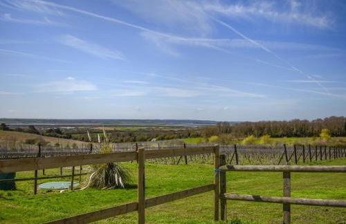 Ivy No1 - Uk49251 - Foto 8