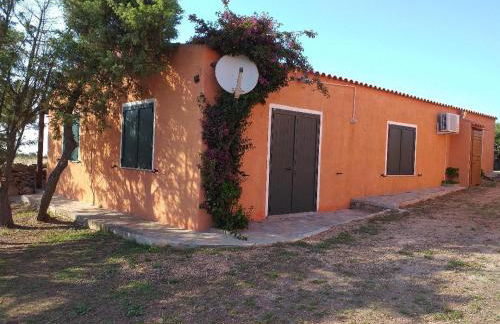 La Macciona - Photo 50