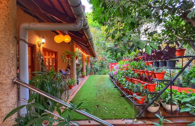 Peace Lily Cottage - Photo 45