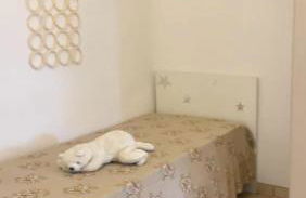 Rifugio Verde - Foto 7