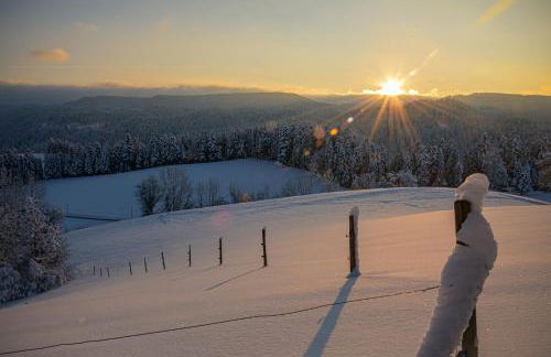 Hansjörgenhof Bioland-Hof - Foto 34