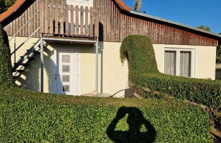 Ferienhaus Kleinmoellerchen - Foto 19