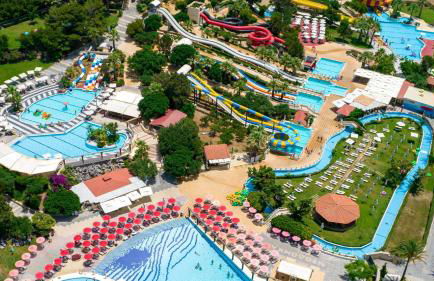 Rosy Villas Collection - Photo 36