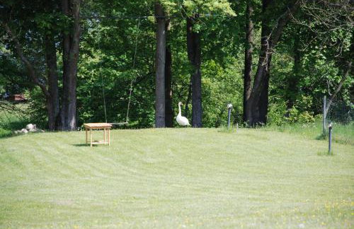 Natura Apartamenty - Foto 76