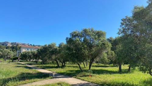 Au pied des Alpilles - Foto 2, Garden