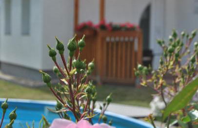 Ferienwohnung Levin - Foto 15