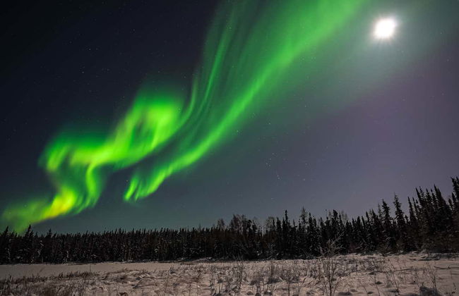 Tour dell'aurora boreale - Foto 8