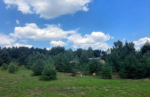 Oaza Święty Spokój - domek z balią i jacuzzi - Foto 39