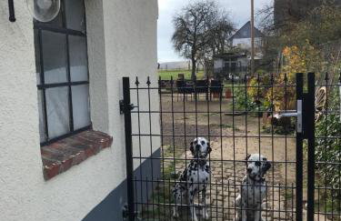 Landhof Lieg - Tierische Auszeit in unseren gemütlichen Ferienwohnungen - Foto 31