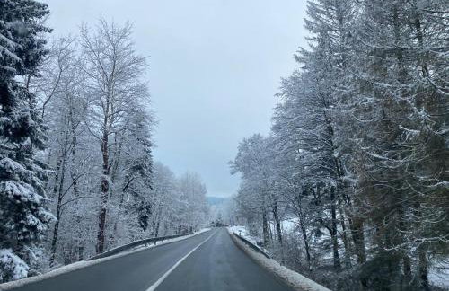 Apartament Zielone Wzgórze 2 - Foto 53