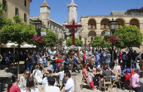 *New* Cerca de la Mezquita - Foto 62