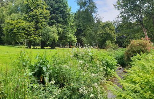 Ocean Cottage - Foto 52