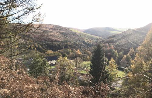Afan forest-Cregan Cottage-Pet friendly - Foto 4