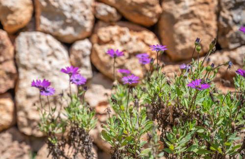 Villa Del Mar Mondrago - Foto 31