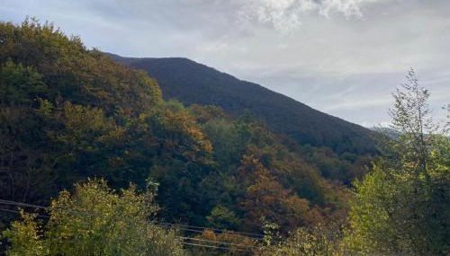 La casa nel bosco-Val Granara guesthouse - Foto 5