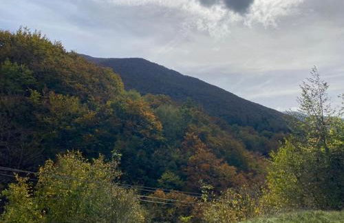 La casa nel bosco-Val Granara guesthouse - Foto 5