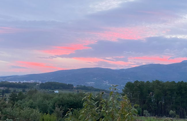 Laje da Bica Agroturismo - Foto 61