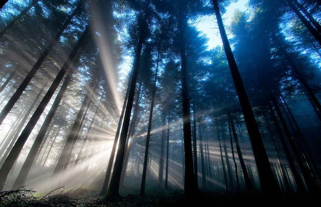 Tour in Valle de Bravo - Foto 8