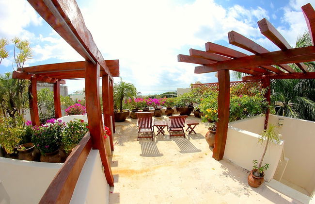 Royal Palms by Bric - Foto 53