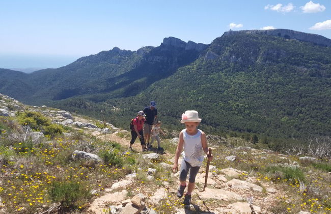 Casa Vella del Pantà de Riudecanyes - Foto 67