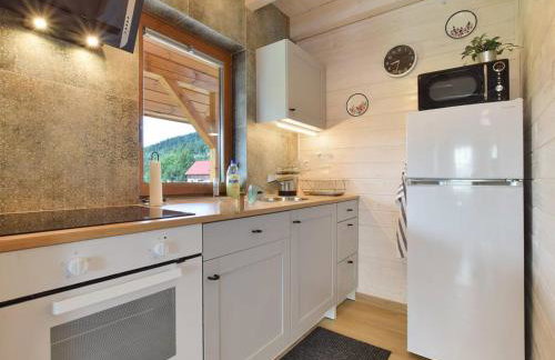 Nowe domki w górach "Pod Skrzycznym", koło Szczyrku - Foto 27