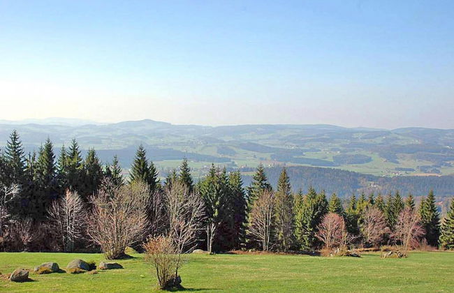 Holiday Home in Neureichenau Near Bavarian Forest - Foto 31