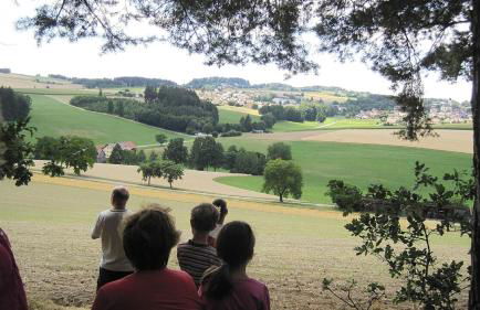 Gschwandnerhof - Foto 33