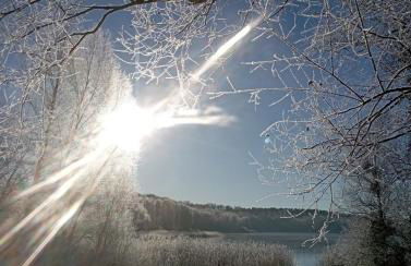 Nachhaltige Wohnung im Seenland - Foto 11