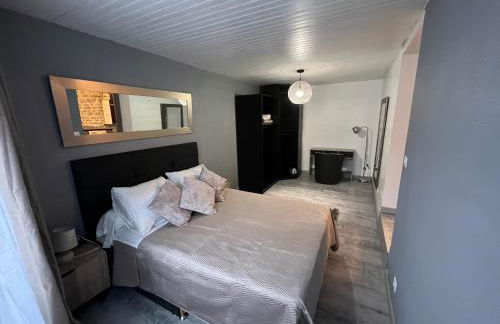 Logement entier : Superbe appartement centre ville - Foto 2