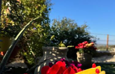 La Terrazza di Cirico' - Foto 8